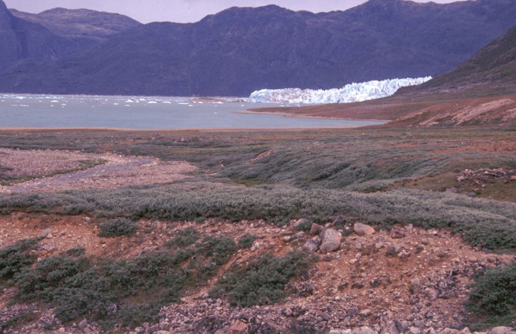 look back to the glacier